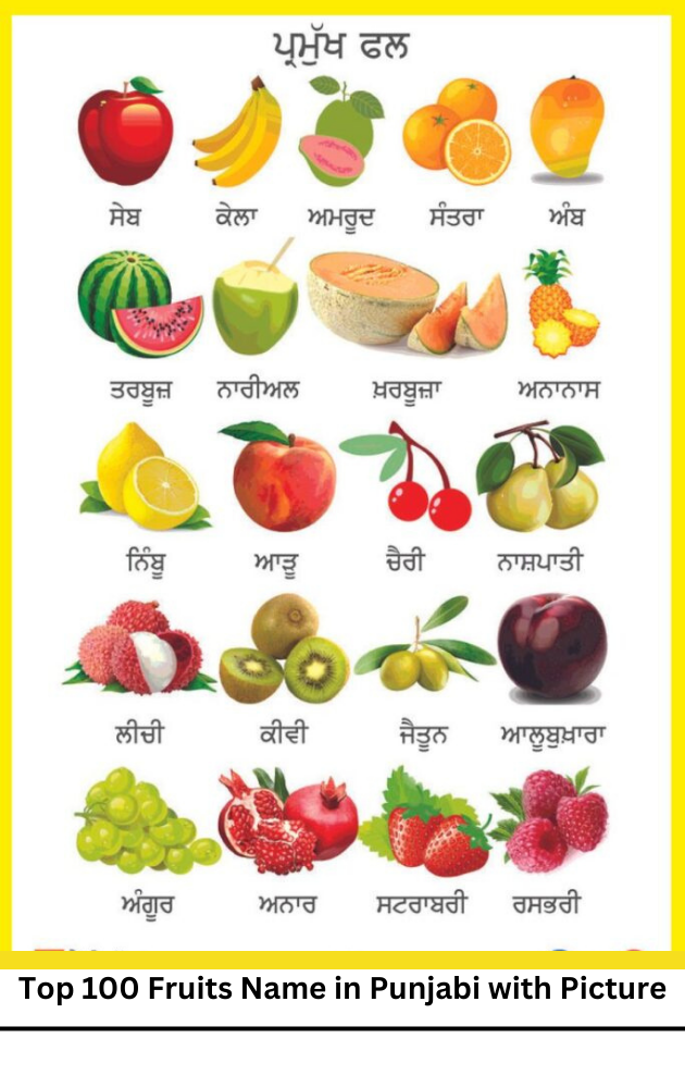 Top 100 Fruits Name in Punjabi with Picture