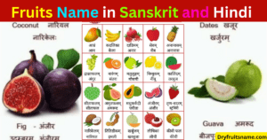 Fruits Name in Sanskrit