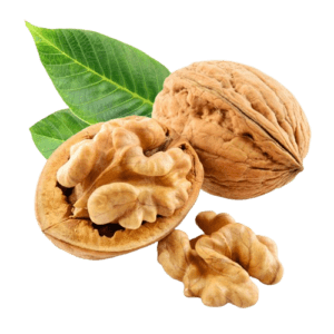 Walnut