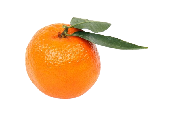 Orange fruits name in Sanskrit