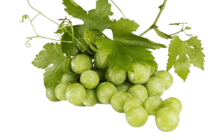 grapes