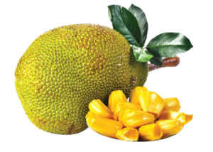 jackfruit