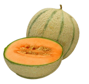 musk melon