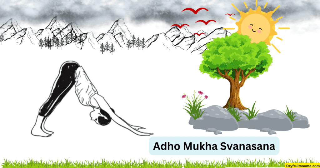 Adho Mukha Svanasana (Downward facing dog pose)