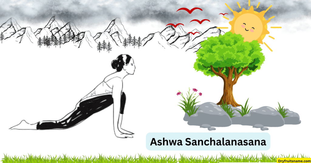 Ashwa Sanchalanasana (Equestrian pose)