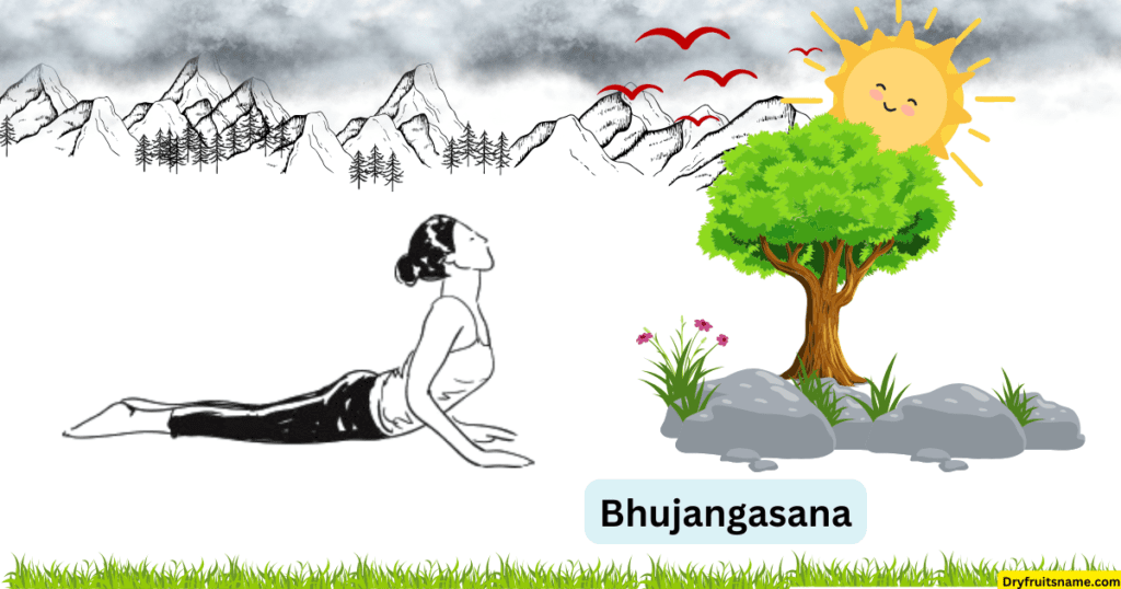 Bhujangasana (Cobra pose)