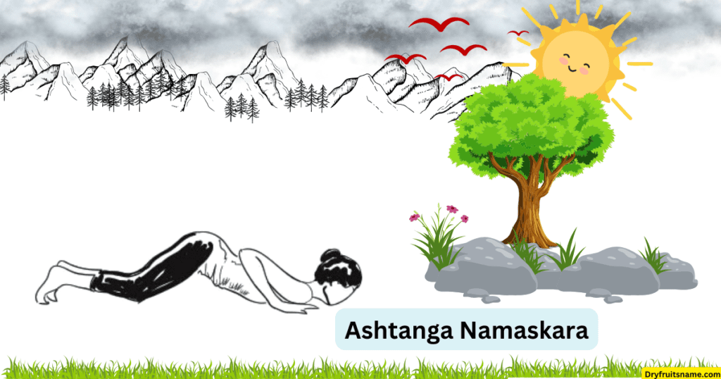 Ashtanga Namaskara (Salute with eight parts or points)