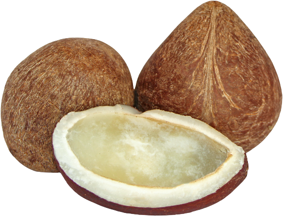 Dry Fruits Name dry coconut