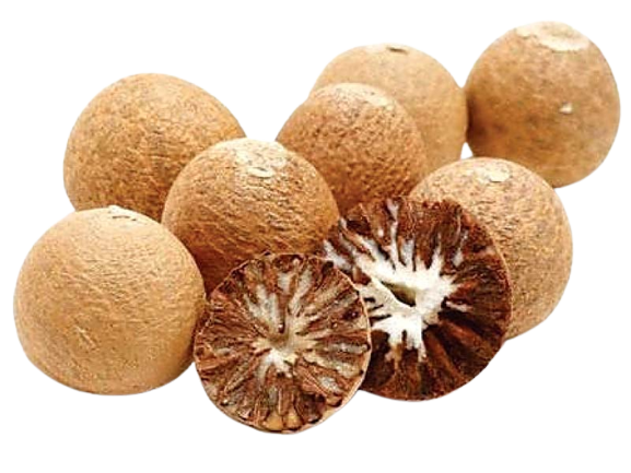 Dry Fruits Name Betel Nuts