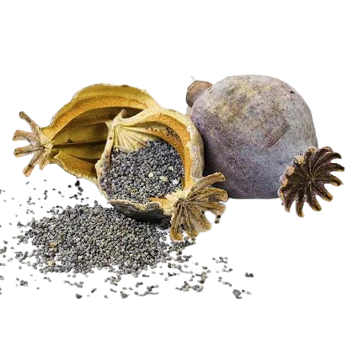 Dry Fruits Name Poppy Seeds