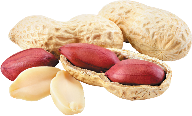 Dry Fruits Name Peanut