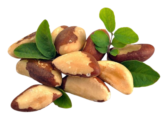 Dry Fruits Name Brazil Nuts