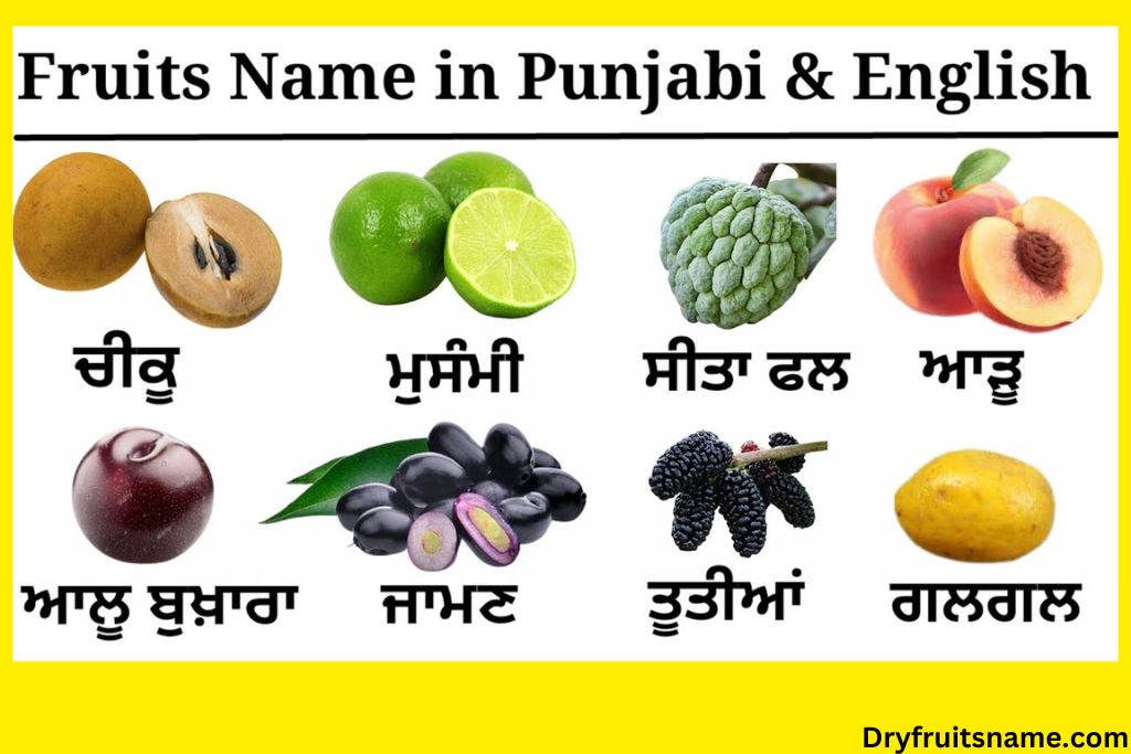 Fruits Name in Punjabi with Picture