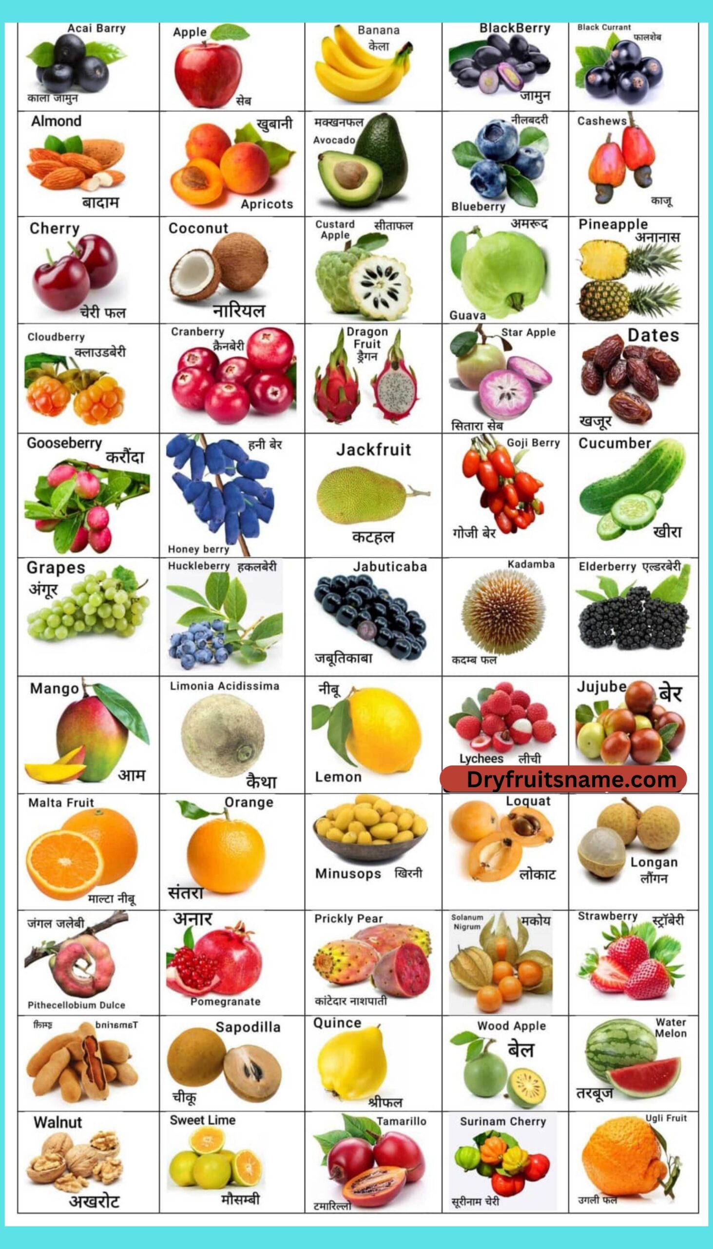 100 Fruits Name in Hindi and English