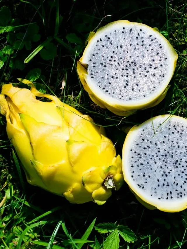 What does yellow dragon fruit do for the body?